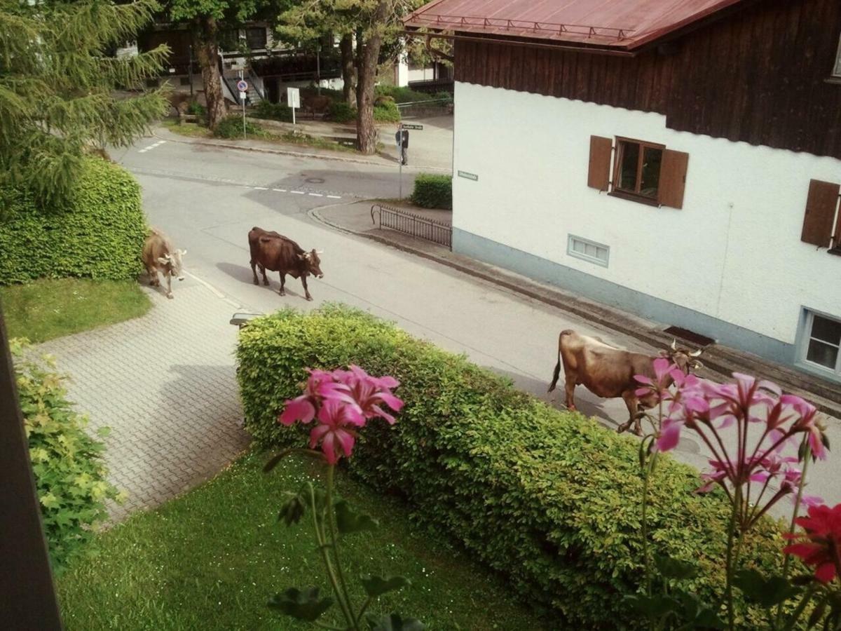 Ferienwohnung Bergblick - Allgaeublick Бад-Хинделанг Экстерьер фото